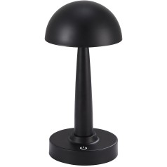 Интерьерная настольная лампа Хемуль 07064-C,19