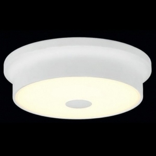 Настенно-потолочный светильник Citilux CL706230 Foster